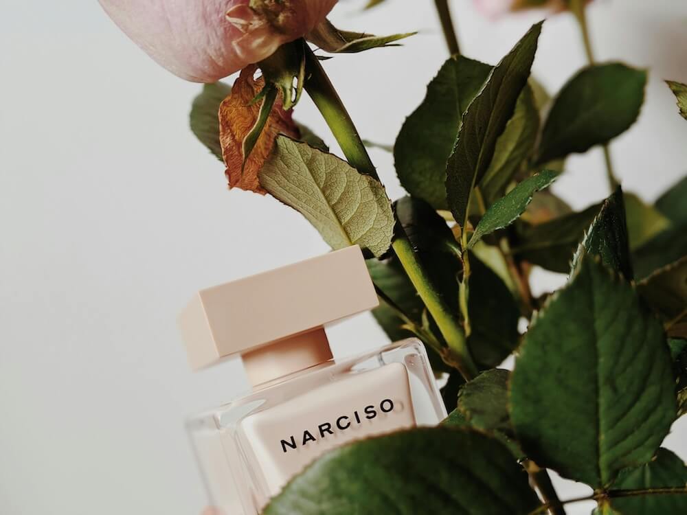 Niche Fragrance Picks for Spring Craft Your Distinct Scent